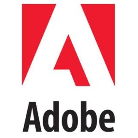 Adobe Customer Experience - 2011 - Roberto Rasia